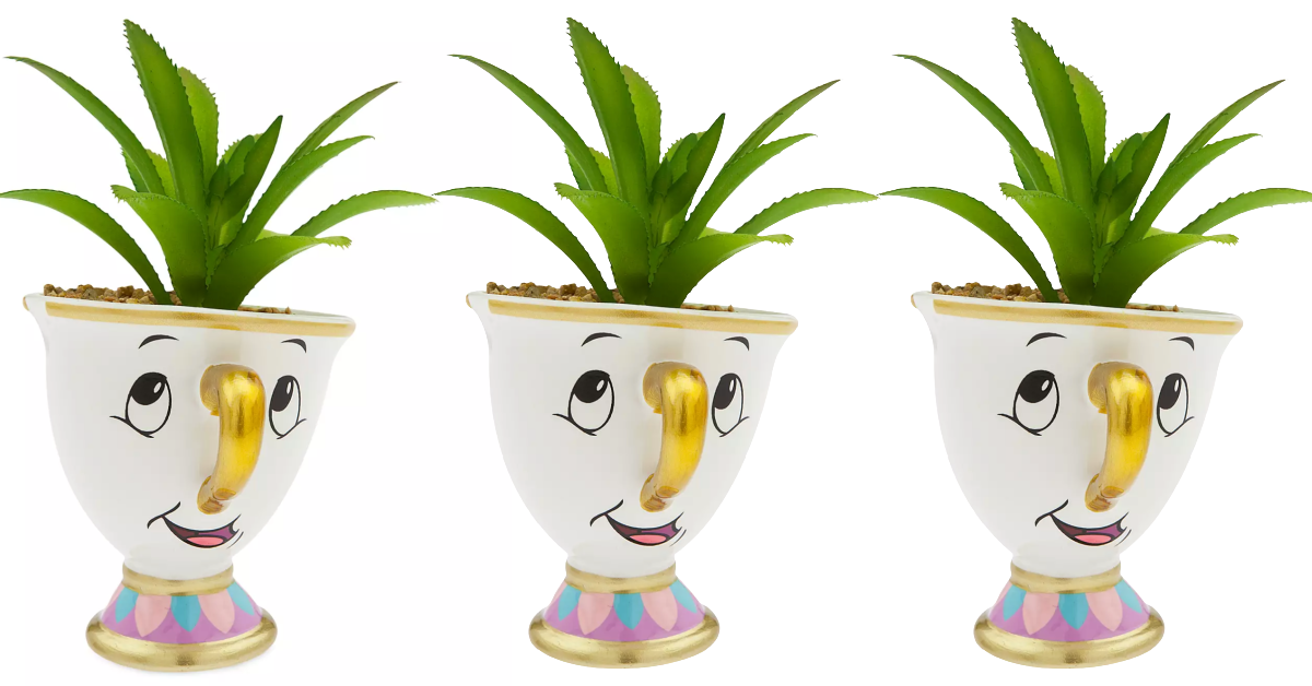 You Can Get A Chip Succulent For The Person Who Loves ‘Beauty And The Beast’