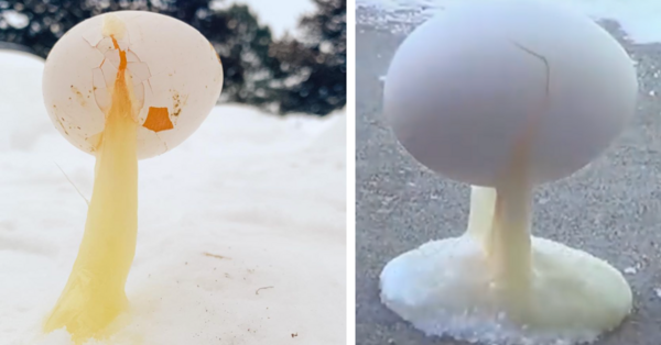It’s So Cold In Some Places, People Are Showing They Can Freeze An Egg Outside Almost Immediately
