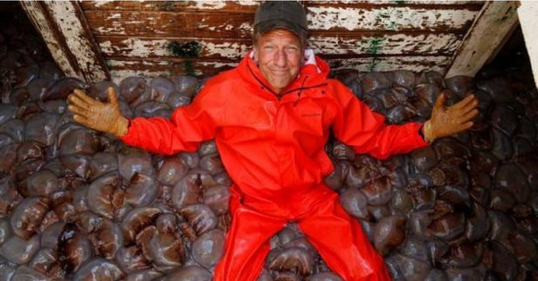 Mike Rowe Is Returning With More ‘Dirty Jobs’ And I Can’t Wait