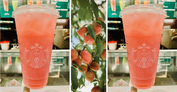 You Can Get A Fuzzy Peach Refresher From Starbucks To Give You All The Spring Vibes