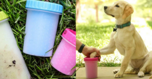 If You Have Dogs, You Need To Get This Muddy Paw Cleaning Gadget Right Now