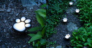 You Can Get Solar Powered Paw Print Pathway Lights For The Person That Loves Dogs
