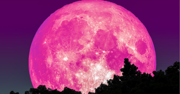 You’ll Be Able To See The Pink Supermoon In April, Here’s How!