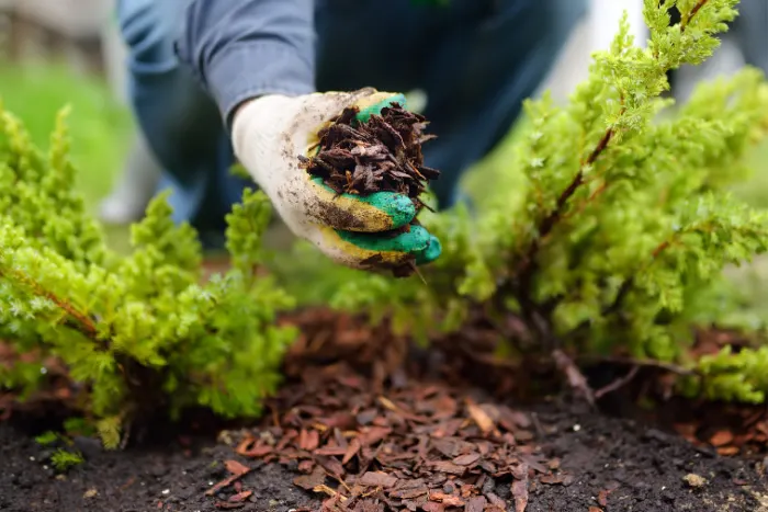 Get your gardening off the ground with raised beds, grow bags