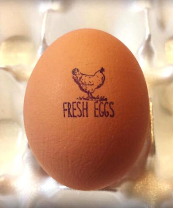 Every Chicken Owner Needs These Chicken Egg Stamps Right Now