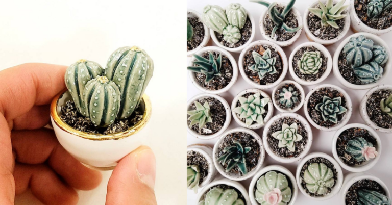 You Can Get Miniature Ceramic Cactus and Succulent Plants That Are So Tiny And Cute, I Need Them All!