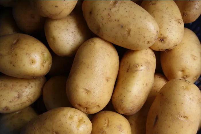 potatoes 1.jpg