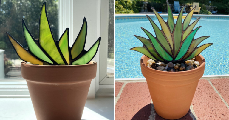 You Can Get Stained Glass Agave Planters That Illuminates When They Are Hit By The Sun