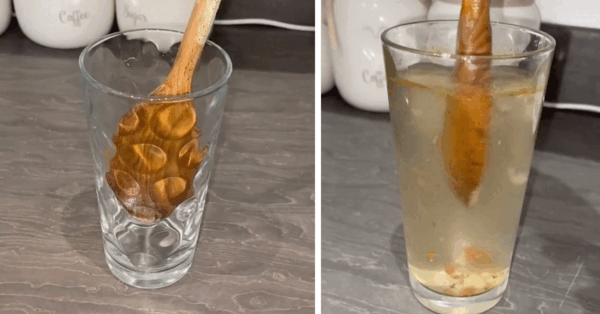 This Viral Video Will Show You How Much Dirt And Food Particles Are Living In Your Wooden Utensils