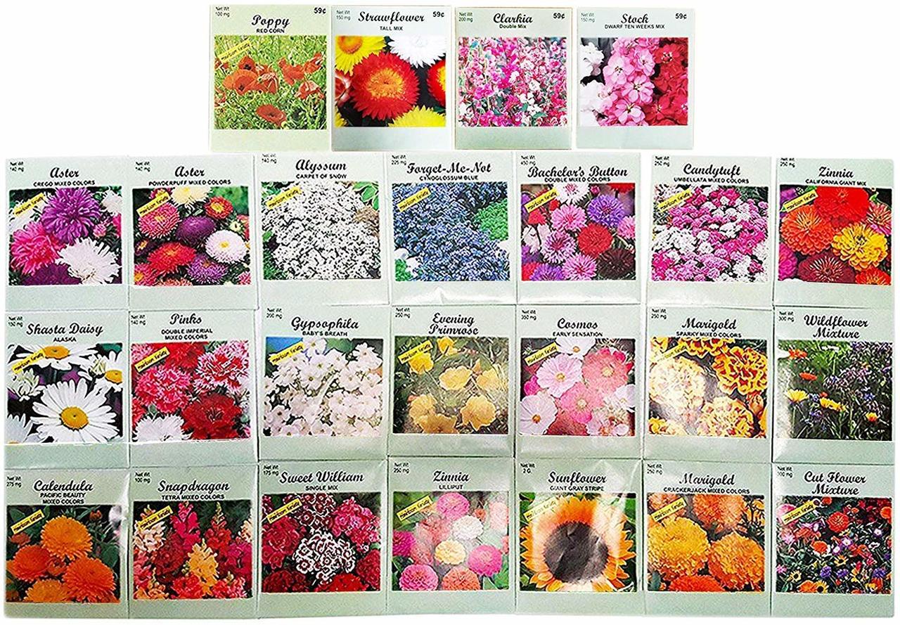 You Can Get Free Flower Seed Packs Just In Time For Spring Planting