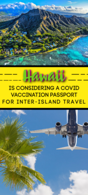 hawaii vaccine passport children