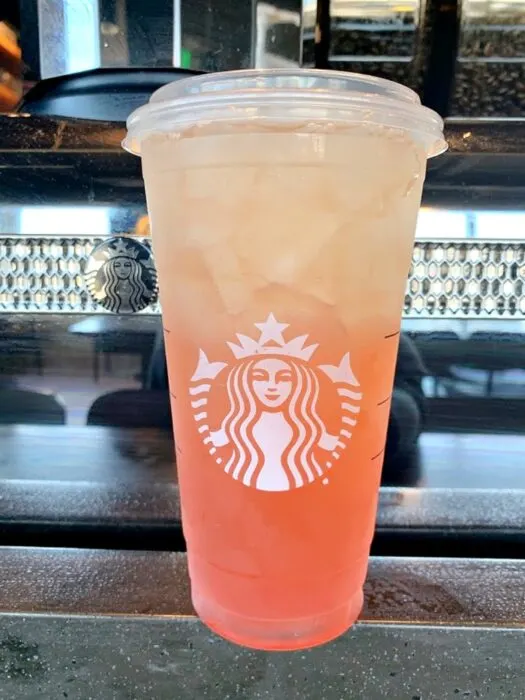 Starbucks Pink/Orange Ombre Stainless Steel Cold Drink Cup – The Rue Life