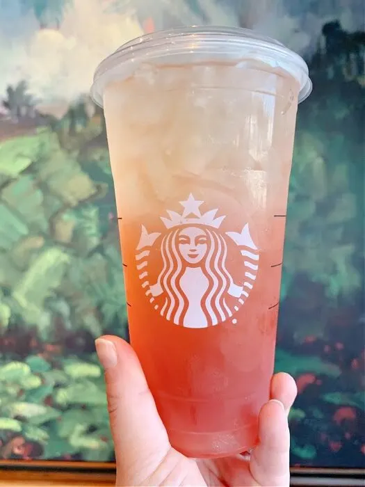 Starbucks Pink/Orange Ombre Stainless Steel Cold Drink Cup – The Rue Life