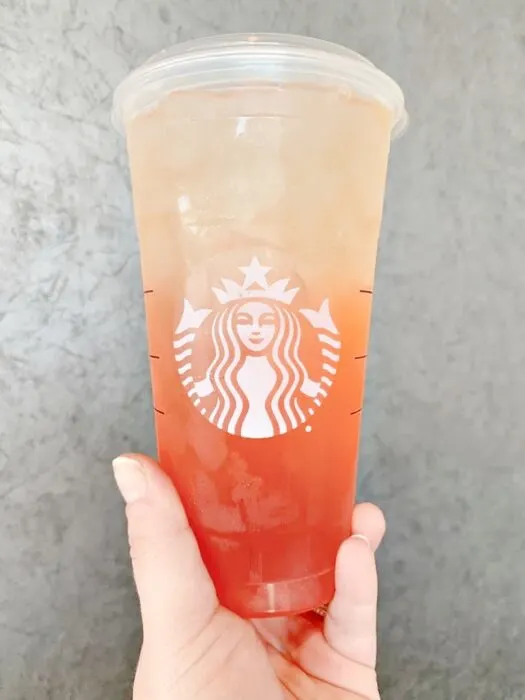 Starbucks Pink/Orange Ombre Stainless Steel Cold Drink Cup – The Rue Life