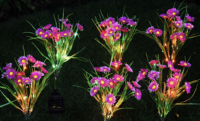 You Can Get Solar Powered Daises To Light Up Your Garden This Summer