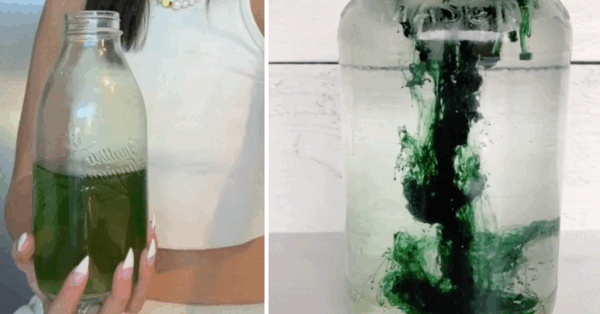 “Chlorophyll Water” Is The New Hot Drink Trend and I Want To Try It