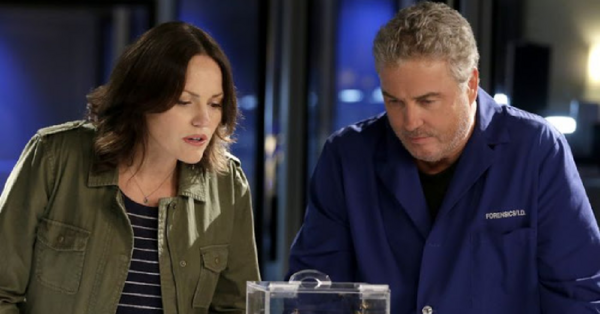 A Sequel To CSI Is Officially Coming And I Can’t Wait