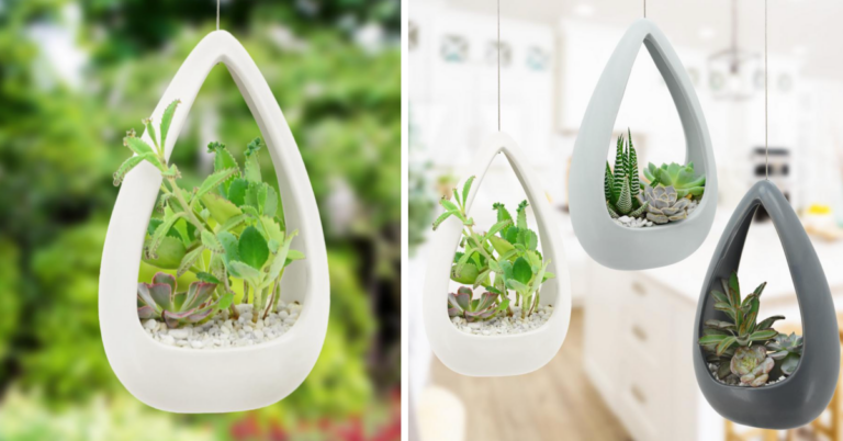 Home Depot Is Selling The Cutest Hanging Ceramic Planters To Place Your Succulents In
