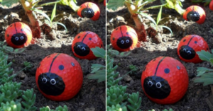 People Are Painting Old Golf Balls To Look Like Ladybugs To Place In Their Garden and I Love It