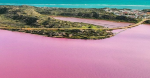 This Pink Lagoon Changes Colors During The Summer And It Is Breathtaking