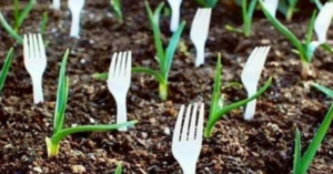 People Are Planting Plastic Forks In Their Gardens. Here’s Why.