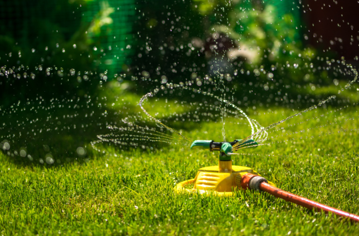 This Is The Best Time To Water Your Lawn According To Experts