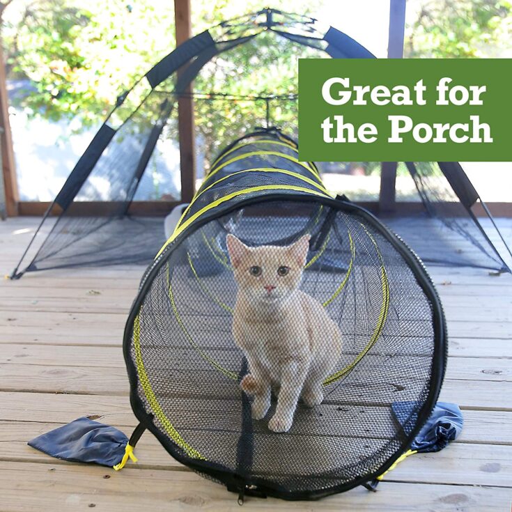 cat tunnel and tent for outside