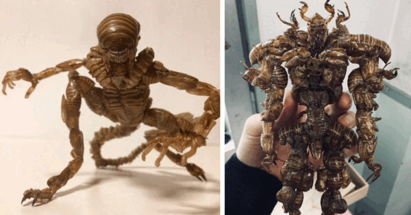 People Are Using The Exoskeleton Of Cicadas To Create Alien-Like Sculptures and I Have So Many Questions