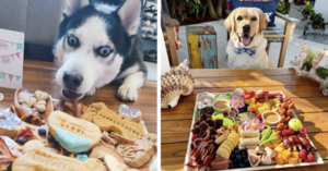 People Are Making ‘Barkcuterie’ Boards For Their Dogs and It’s The Cutest Thing Ever