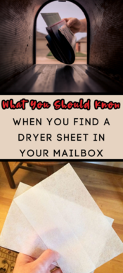 dryer sheet in mailbox