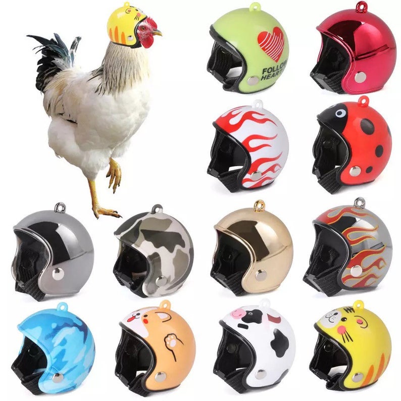 You Can Get Tiny Helmets For Your Chickens And I Need Them