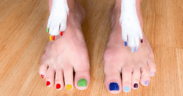 People Are Getting Matching Pedicures With Their Dogs, Because Why Not?