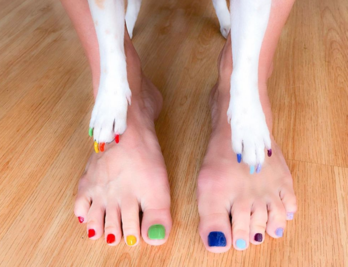 how do you paint a dogs nails