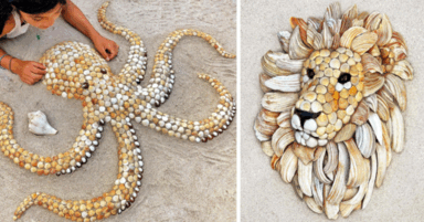 This Woman Uses Seashells To Create Portraits Of Animals And They Are Beautiful