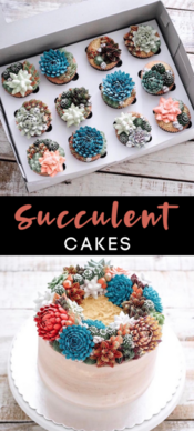 Succulent Cakes Are The New Hot Food Trend And I Want One For Myself