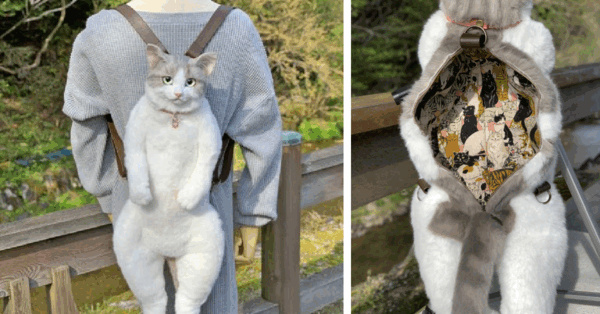 You Can Get A Backpack That Looks Just Like A Real Cat And It Kind Of Creeps Me Out