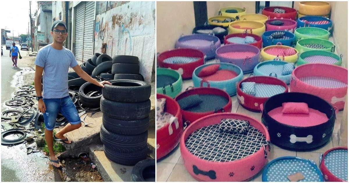 This Man Turned Old Tires Into Colorful Beds For Stray Animals and Our Hearts Are Full