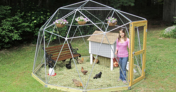 This Geodesic Dome Lets Your Chickens Roam Around Free While Keeping Them Safe From Predators