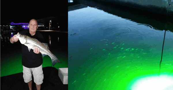 This Green Light Goes In The Water To Lure In Fish and It's