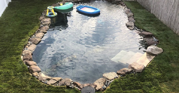 People Are Making Natural Swimming Holes By Replacing Their Pools With Ponds and I Love It