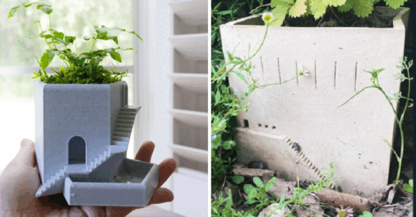 These Planters Have Stairs On The Side So Insects Can Crawl Up And Down Them and They Are Genius
