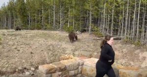 This Woman Is Lucky To Be Alive After A Mama Bear Charged At Her While She Was Taking A Picture
