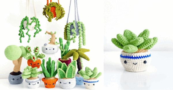 These Crochet Succulents Are Perfect For The Person Who Kills All Their Plants