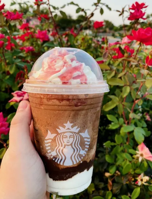 twilight cup edward starbucks｜TikTok Search