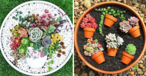 People Are Creating Potted Plants Inside Of Potted Plants And I Am Obsessed