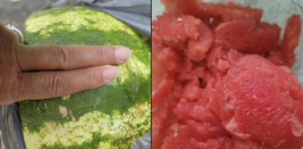 This Farmer Shares How To Pick The Perfect Watermelon Every Single Time