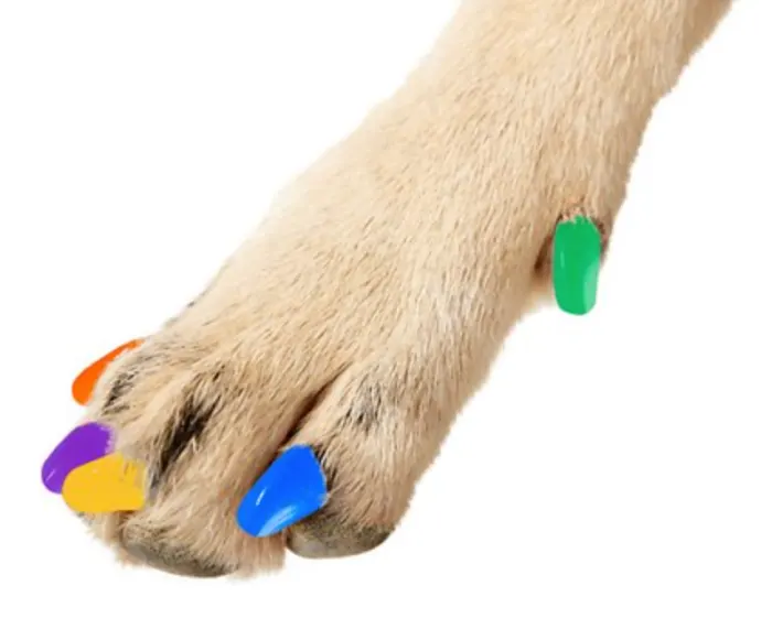 Dog rubber hotsell nail covers