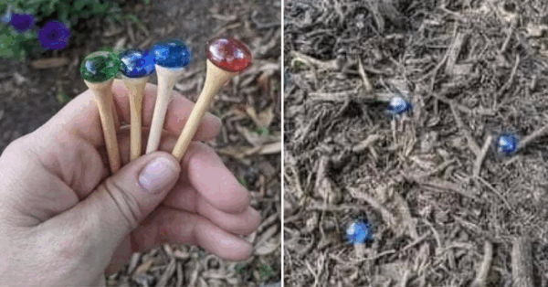 This Garden Hack Will Make It Easier To Remember Which Seeds You Planted Where