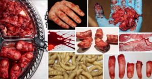 I Just Found The Grossest Website That Will Fulfill All Of Your Halloween Horror Needs