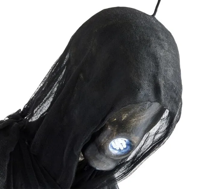 You Can Get Harry Potter Dementor To In Your Yard Halloween, Accio It To Me!